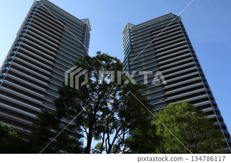 千葉縣柏之葉校園街景 134786117