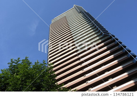 千葉縣柏之葉校園街景 134786121