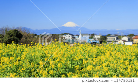 太陽山全年開放(包括元旦)。 太陽山全年開放(包括元旦)。 134786181