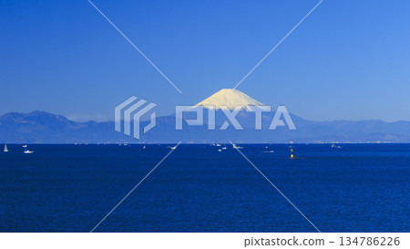 Mount Fuji in winter seen from the coast 134786226