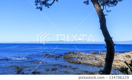 Mount Fuji in winter seen from the coast 134786229