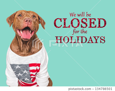 We will be closed for the Holidays 134786501
