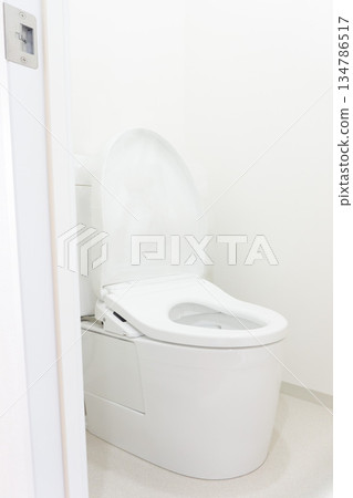 翻新後的衛浴照片，斜角視角，馬桶座圈，老公寓內部，狹窄 134786517