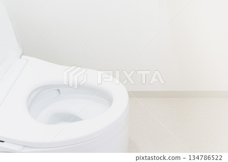 翻新後的衛浴照片，斜角視角，馬桶座圈，老公寓內部，狹窄 134786522