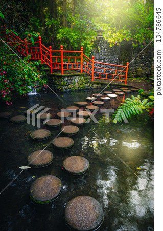 Beautiful Monte Palace Tropical Gardens in Funchal, Madeira Island 134786645
