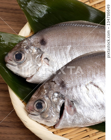 準備好的埃博代 134786649