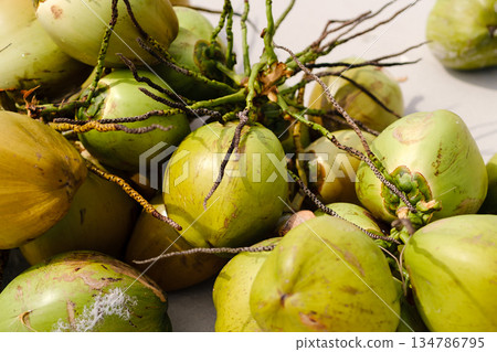 Fresh coconuts picked on the beach on a sunny day show off their bright colors against the background of the sandy beach. Malaysia Fresh coconuts picked on the beach on a sunny day show off their bright colors against the background of the sandy beach. Malaysia 134786795