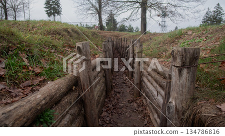 intimate log revetment inside narrow trench, earth walls and compacted mud floor, fallen leaves and moss 134786816