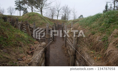 narrow trench walkway under pine, preservation team inspecting timber revetments and drainage, damp leaves and compacted soil, interpretive signage planned for historical education 134787058