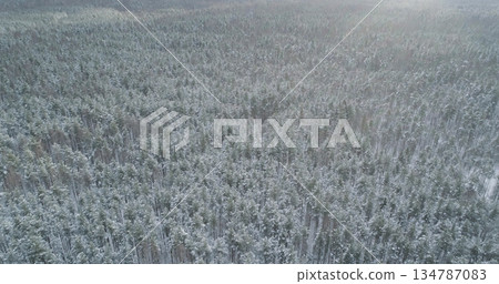 Aerial backward fly over frozen mixeb forest with pine and birch trees Aerial backward fly over frozen mixeb forest with pine and birch trees 134787083