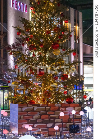 Christmas illuminations in front of the station 134787350