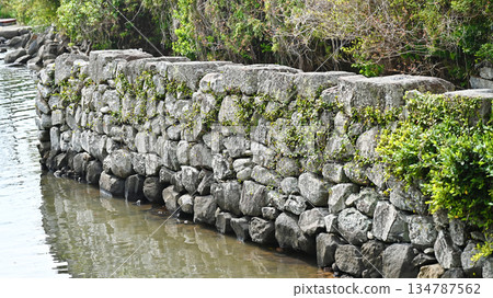 Omura Domain Funagura Ruins (Omura City, Nagasaki Prefecture: Funagura of Kushima Castle) Omura Domain Funagura Ruins (Omura City, Nagasaki Prefecture: Funagura of Kushima Castle) 134787562