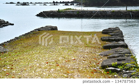 大村藩船倉遺址（長崎縣大村市：串島城的船倉） 134787563