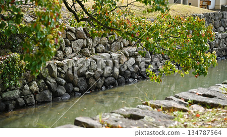大村藩船倉遺址(長崎縣大村市:串島城的船倉) 大村藩船倉遺址(長崎縣大村市:串島城的船倉) 134787564