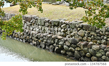 Omura Domain Funagura Ruins (Omura City, Nagasaki Prefecture: Funagura of Kushima Castle) 134787568