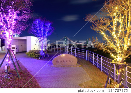 [兵庫縣]從淡路服務區看到燈火通明的明石海峽大橋 134787575