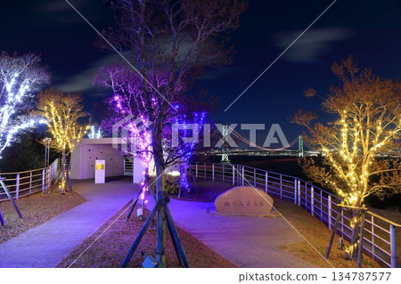 [Hyogo Prefecture] Illuminated Akashi Kaikyo Bridge seen from Awaji Service Area 134787577