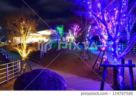 [Hyogo Prefecture] Awaji SA illuminations 134787586