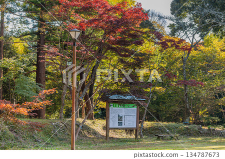 View of the ruins of Futamata Castle in Hamamatsu City (Shizuoka Prefecture) 134787673