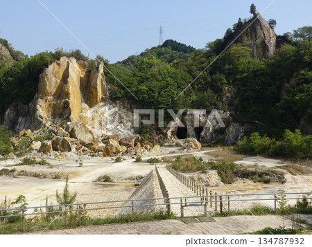 Arita ware, Izumiyama Magnet Field (the birthplace of Japanese porcelain), Arita Pottery Market 134787932