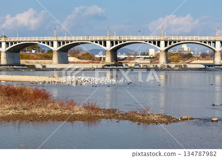 兵庫縣/向日川和向日大橋 兵庫縣/向日川和向日大橋 134787982