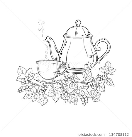 Black Currant Tea in Teapot Outline Illustration. 134788112