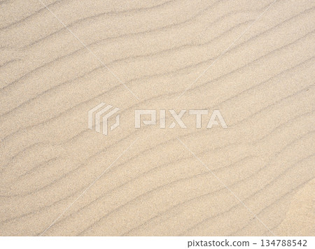 Sunamon Sunamon 134788542