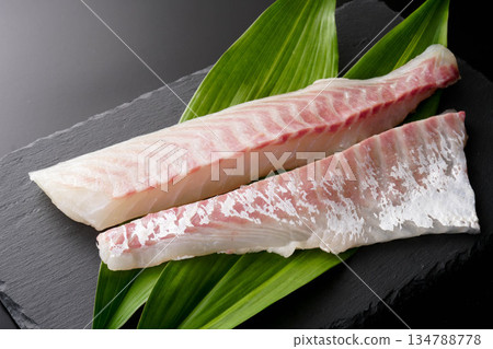Red sea bream sashimi-grade fence 134788778