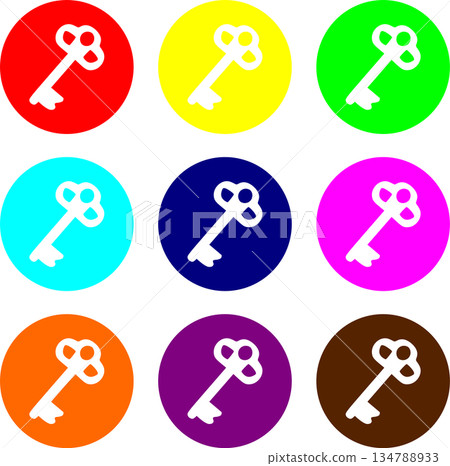 Colorful Skeleton Key Icon Set - Vibrant Circular Security and Access Symbols 134788933