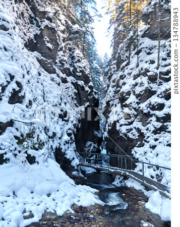 Wooden bridge over the Terchova Gorge in Slovakia 134788943