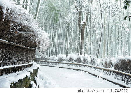 嵯峨野雪竹林道 134788962