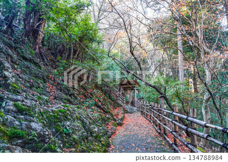 Approach to Daihikaku (Senkoji Temple) 134788984