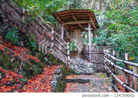 通往大彥閣（千光寺）的道路 134789002