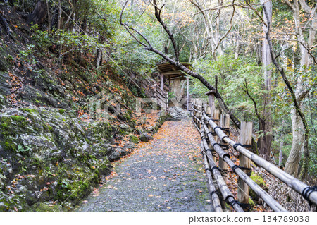 通往大彥閣（千光寺）的道路 134789038