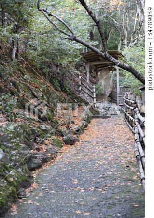 通往大彥閣（千光寺）的道路 134789039
