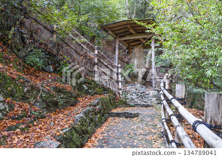 通往大彥閣（千光寺）的道路 134789041