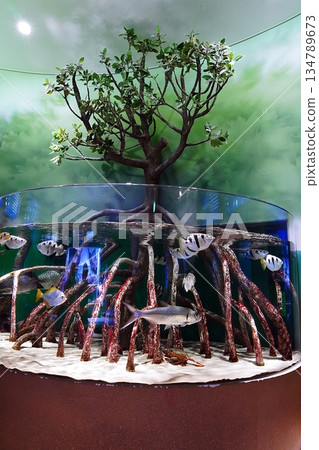 島根水族館的景色 134789673