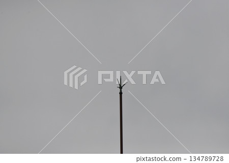 學校避雷針 01 134789728