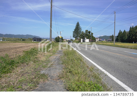 Sidewalk covered in weeds 04 134789735