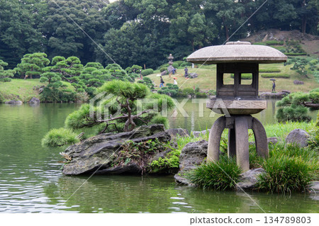 Stone lantern and pine tree in Kiyosumi Garden. The garden view across the pond. Stone lantern and pine tree in Kiyosumi Garden. The garden view across the pond. 134789803