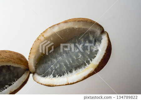 Indoor photo of Akebia fruit on white paper 06 134789822