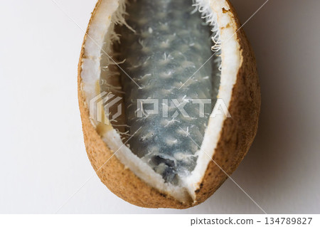 白紙上拍攝的木通果實室內照片 11 134789827