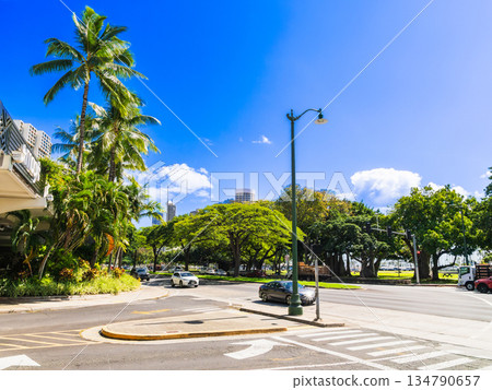 In front of Ala Moana Center in Honolulu, Hawaii In front of Ala Moana Center in Honolulu, Hawaii 134790657