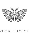 Mystical floral moth illustration boho black line art 134790712