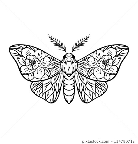 Mystical floral moth illustration boho black line art 134790712