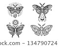 Mystical moth illustrations with skull, sun, moon, flowers and crystals in black line art 134790724