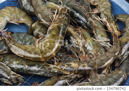 Seafood on a plate, pile of raw langoustines. Seafood on a plate, pile of raw langoustines. 134790742