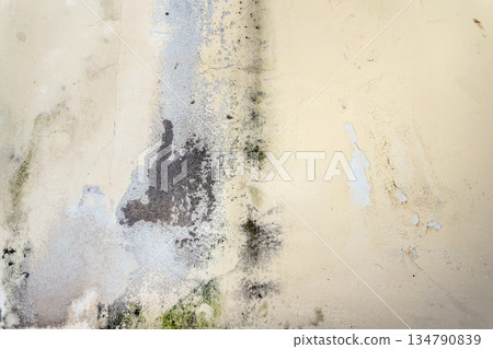 Mold and humidity on the wall Mold and humidity on the wall 134790839
