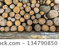 Pile of Firewood Background 134790850