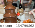 Vibrant chocolate fountain 134790862